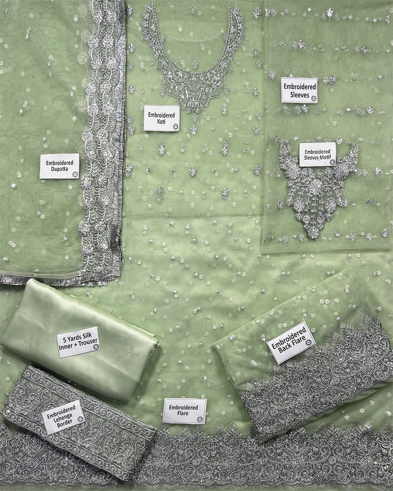 Misl Pishwas Maxi Formal Wedding Net Collection - MINT GREEN - A026